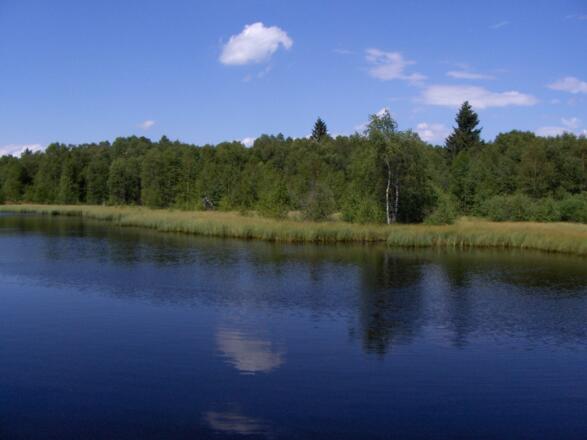Kurz vor Ende unserer Tour bietet sich uns dieser schöne Ausblick auf den Moorsee.