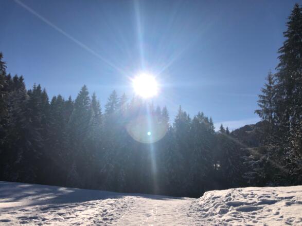 Winterwandern im Wäldele
