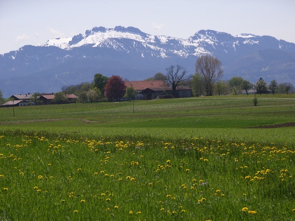 Blick auf die Kampenwand