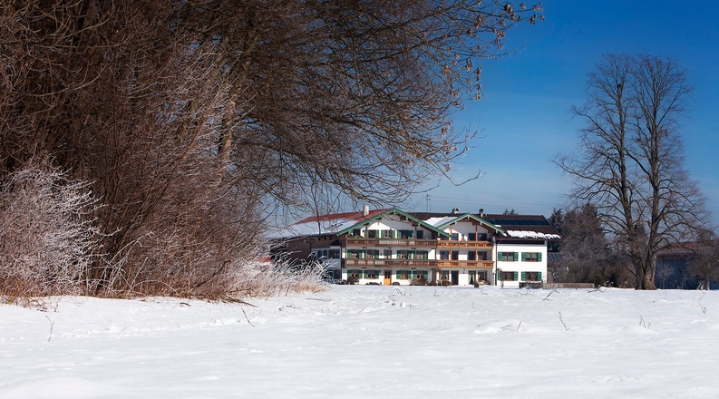 Winter