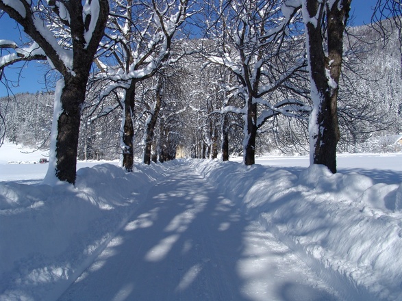 Zufahrt zur Villa Sonnwend Nationalpark Lodge.