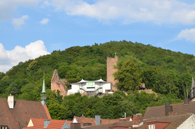 Die Scherenburg oberhalb von Gemünden.