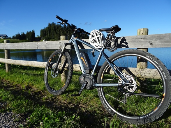 Rast auf der Steinplatte