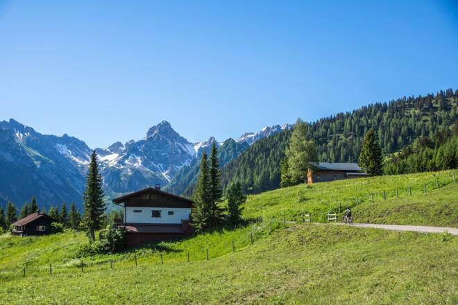 Alpgebiet Burtschaalpe mit Blick auf Zimba
