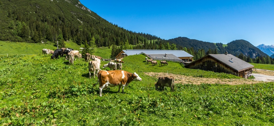 Blick auf Innere Parpfienzalpe