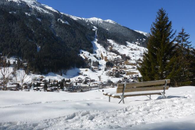 Ruhebank im Kilknerwald