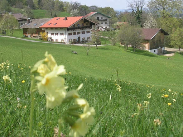 Haslau beide Häuser