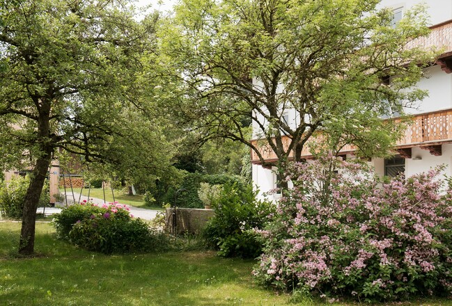 Blick in den Garten