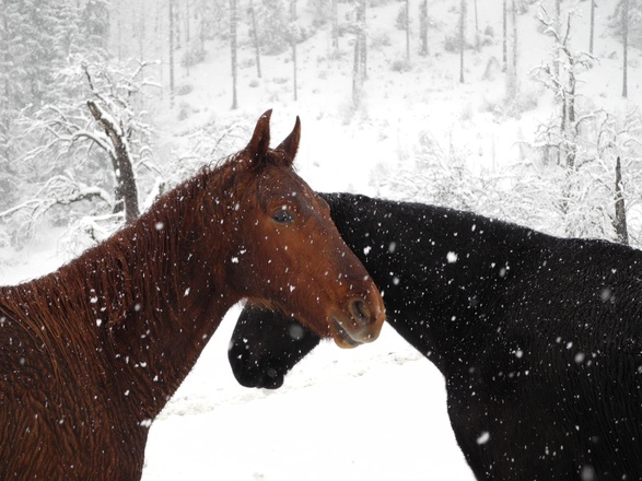 Moar im Hof bei der Villa Sonnwend