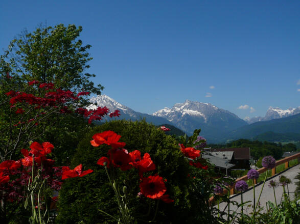 Aussicht vom Biergarten