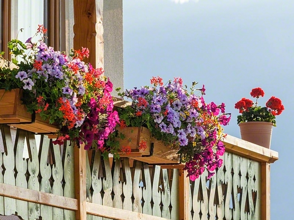 Willkommen im Roislerlehen!