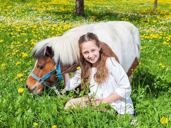 Frühlingswiese Hinterkeilhoflehen