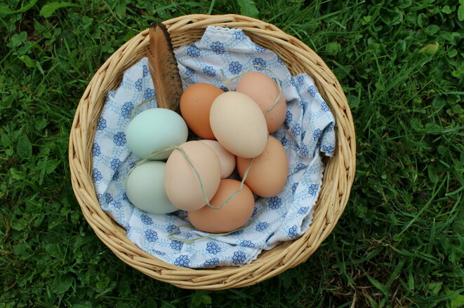 Frühstückseier von glücklichen Hühnern