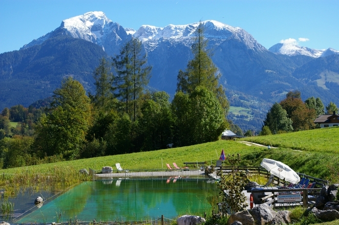 Schwimmteich mit Bergblick