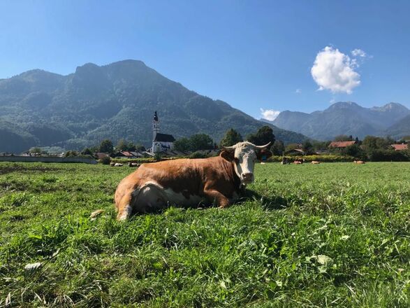 auf einem Spaziergang in Flintsbach