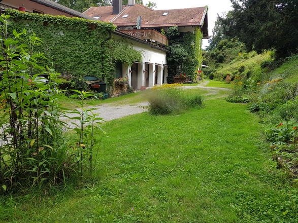 Hofseite Ferienwohnung Johannes