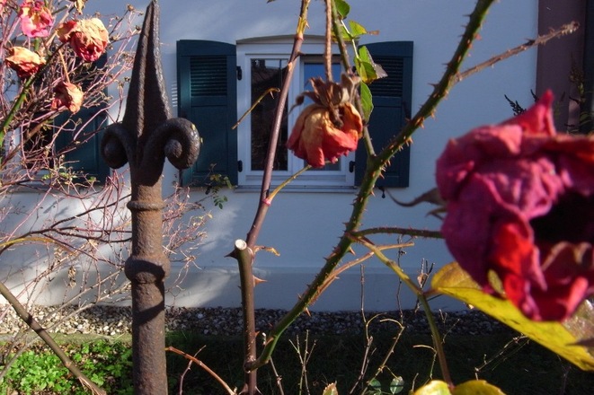 Rosengarten Ferienwohnung Meindl