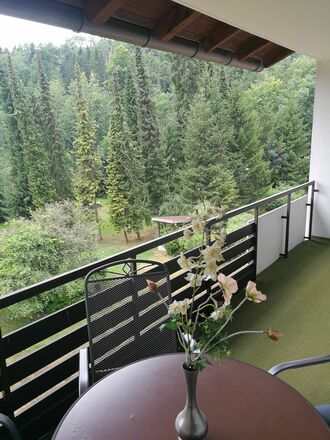 Traumhafter Blick ins Grüne, absolut ruhig Ferienwohnung Dittmar in zentraler Lage