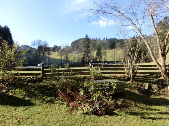 Ausblick Garten