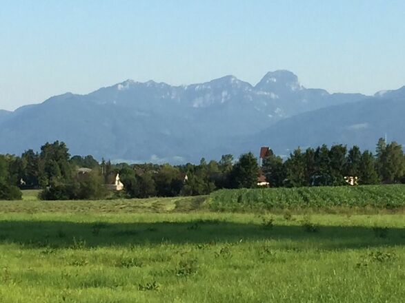 Ausblick