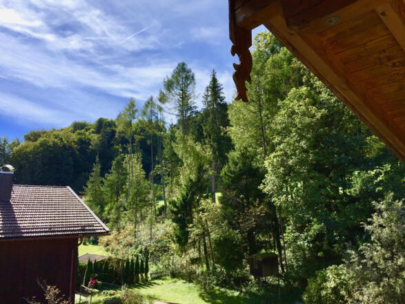 Blick vom Balkon