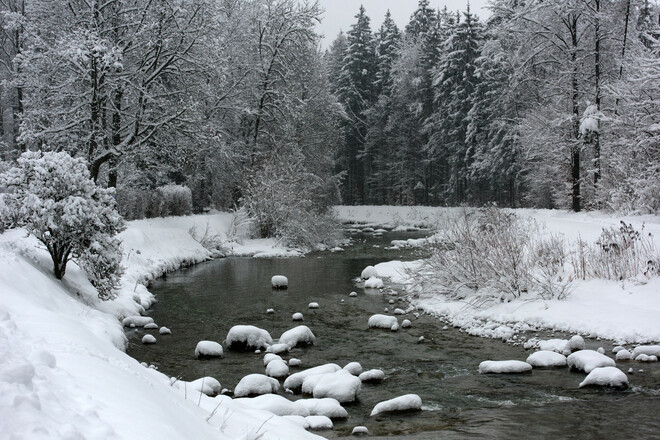 Winterwanderweg am Auerbach