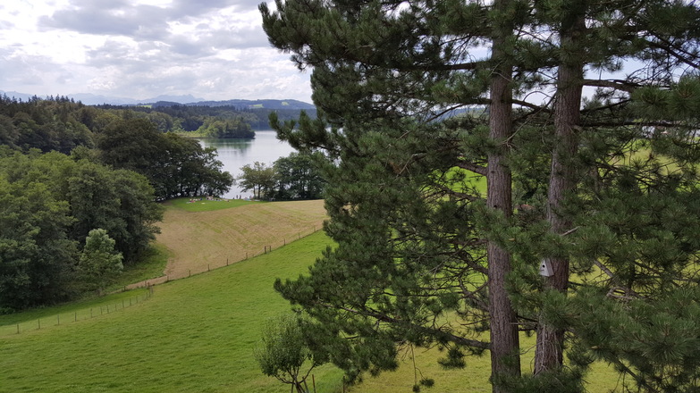 Balkonblick