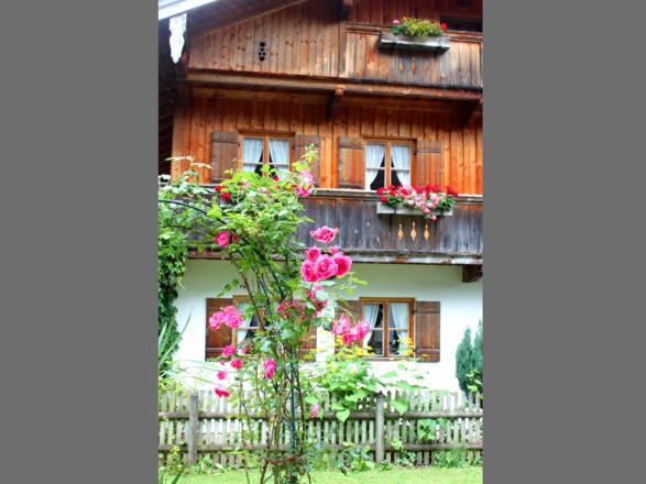 Blick auf die Ferienwohnungen