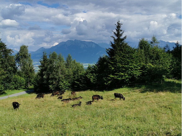 umliegende Landschaft