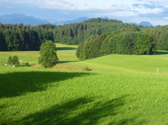 Der Blick vom Balkon Ihrer Unterkunft