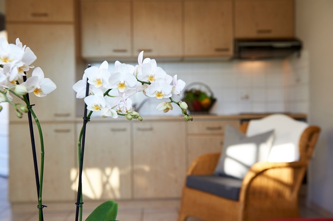 Küchenansicht Ferienwohnung Ober