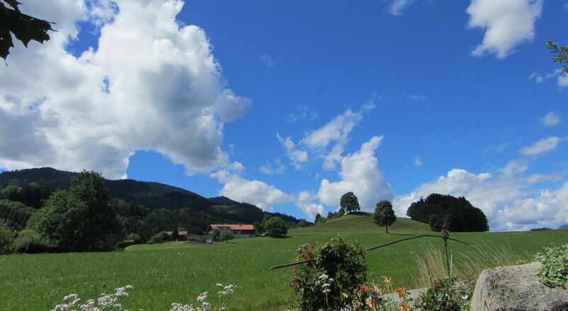 Blick nach SüdWesten