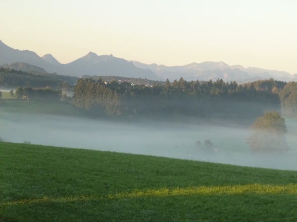 Nebel am Morgen