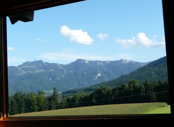 Fensterblick