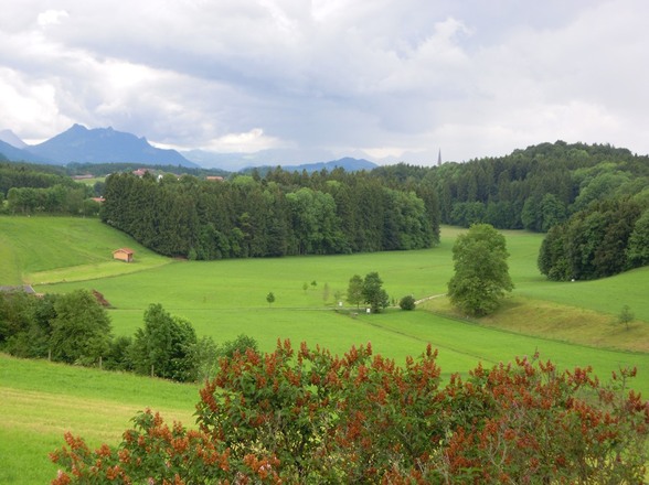 Blick ins Westenbachtal und Bergblick