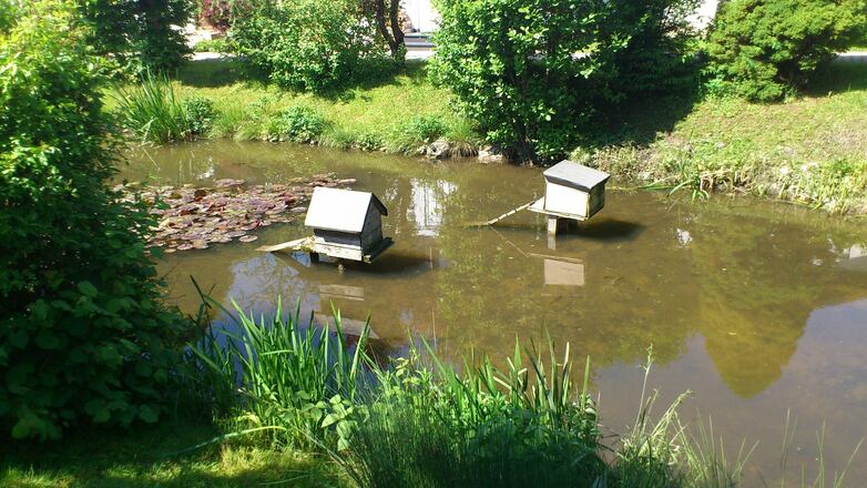 Gemeinschaftsweiher Ferienwohnung Hurler