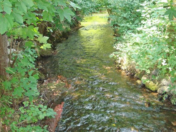 Bach am Ferienbungalow