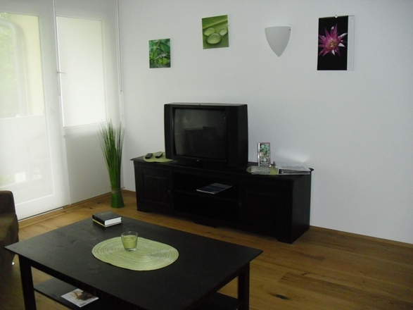 Wohnzimmeransicht2 Ferienwohnung Liebel