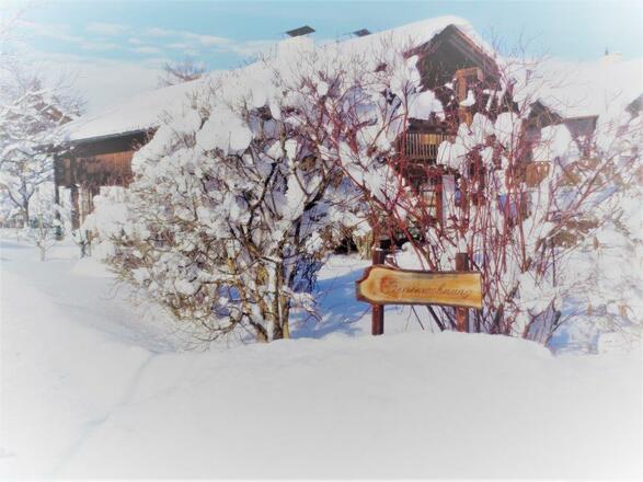Hausansicht im Winter