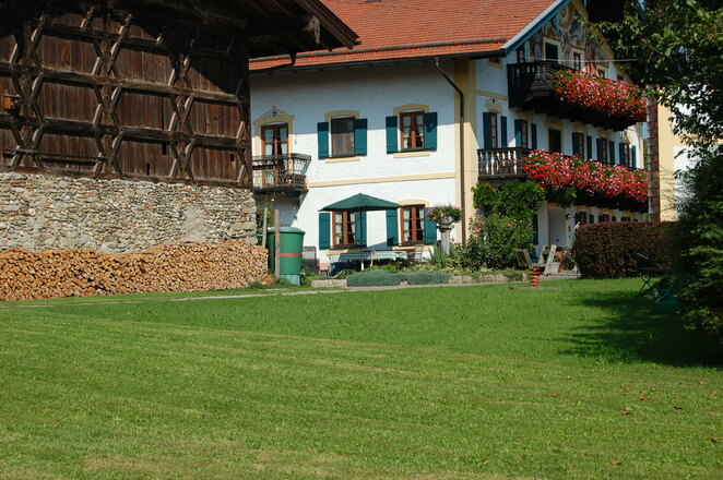 Wiese