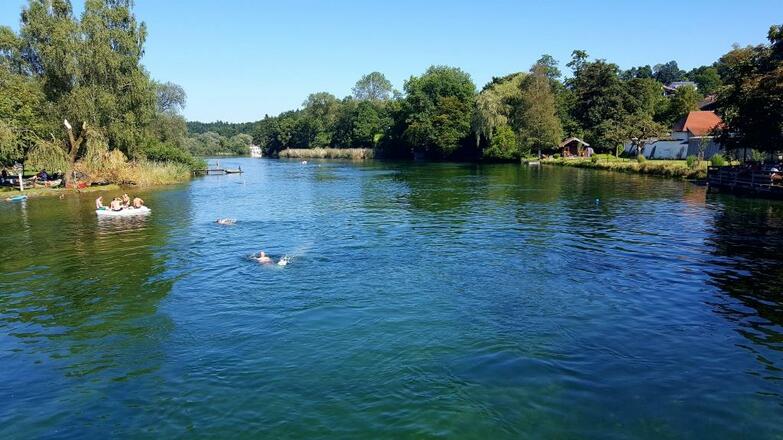Schwimmen in der Alz