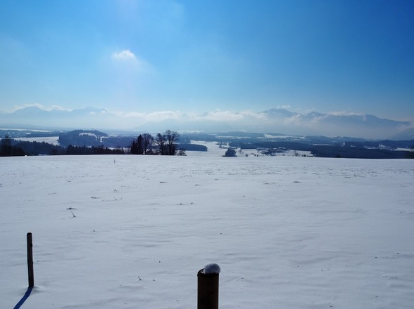 Ausblick