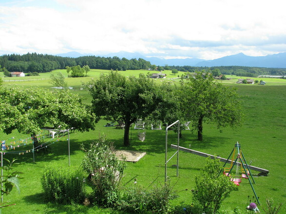 Blick über den Garten