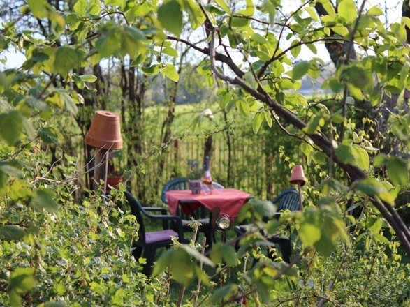 Garten im Sommer