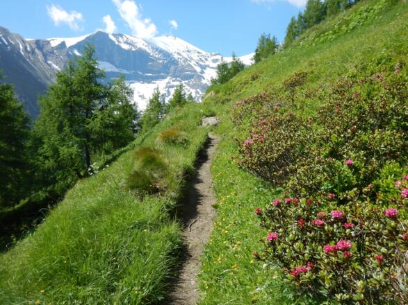 Aufstieg zur Gleiwitzer Hütte