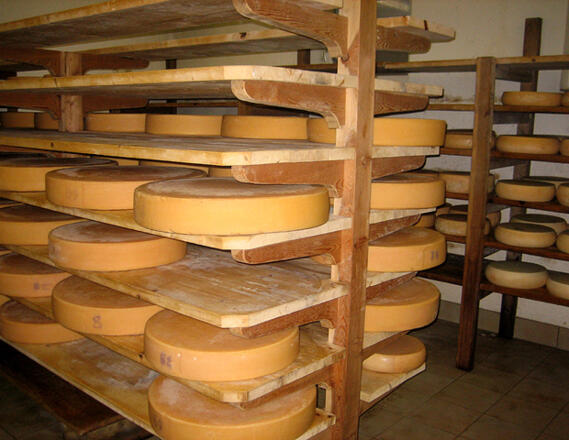 Eigene Käse-Erzeugung bei der Baumgarten Alm