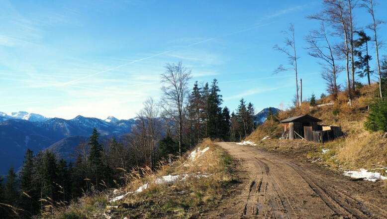 Jagdhütte ~1105m