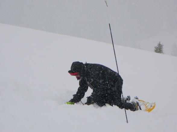 Lawinenverschüttetensuche im Suchfeld