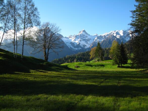 Hochmoor Rona