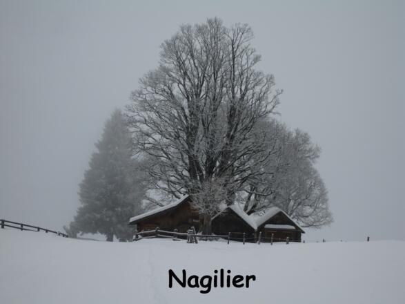 Die Tschengla im Winter
